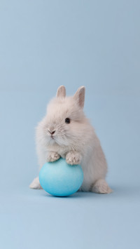 Easter Bunny Rabbit with Blue Painted Egg on Blue Background