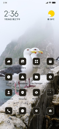 seagull