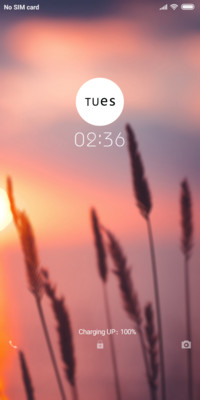Vivo Night v10