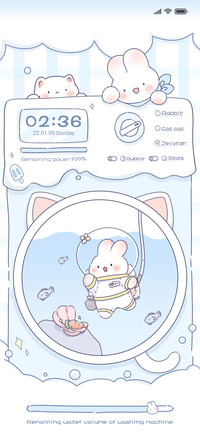 Washing Machine