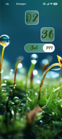 Grass