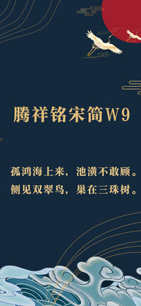 腾祥铭宋简W9