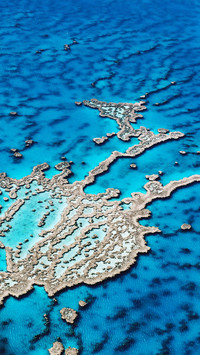 Aerial view of hardy reef
