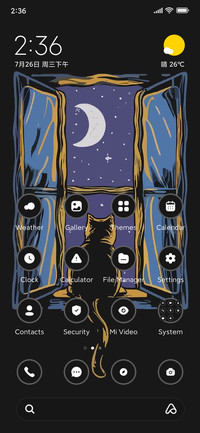 Night Cat