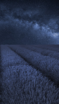stock-photo-stunning-lavender-field-landscape-with-clear-milky-way-galaxy-in-128615141