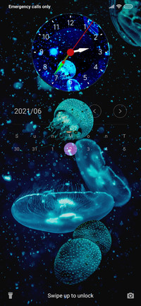 Deep Blue Leo
