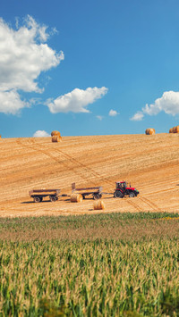 Autumn harvest scene
