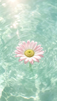 浅夏花朵特辑