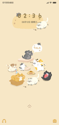 猫猫游乐场