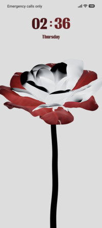 Red &amp; White