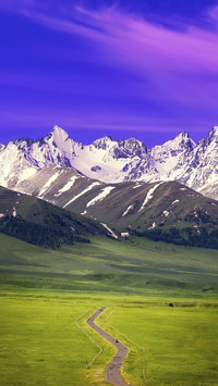 Grassland scenery in the morning 17