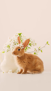 Red rabbit with Easter eggs on white background