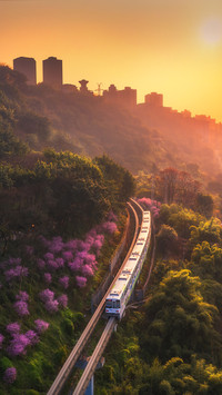 Fairy tale train to spring