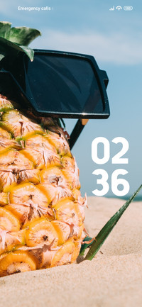 Pineapple