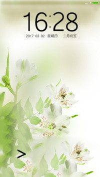 梦幻百花