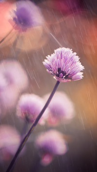 Good rain knows the season
