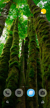 Mossy Circle