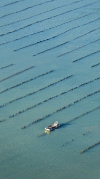 International-Charente Maritime