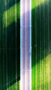 The railway over the wheat field