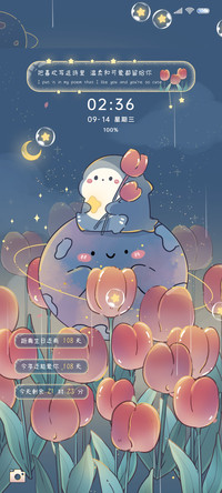 蔚蓝郁金香小鲨鱼
