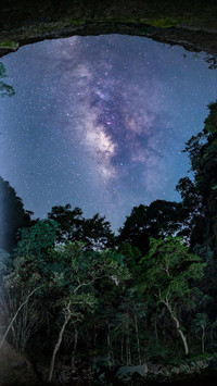 VCG211292986814