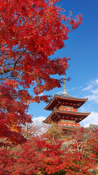 How beautiful the world is in autumn 4