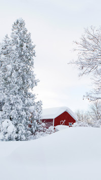 Winter scenery-05