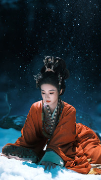 张雅钦雪夜美人