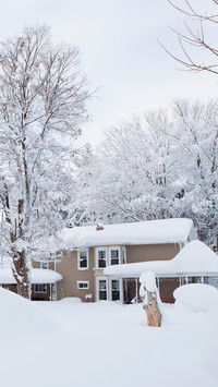 Winter scenery-08