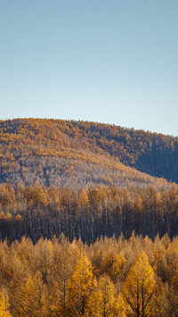 The autumn charm paints all the peaks
