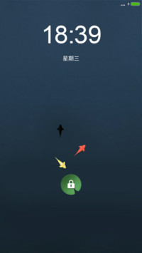 夜·荷