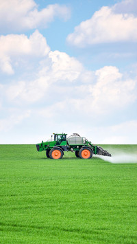 Tractor spraying green wheat field