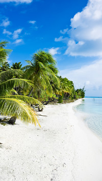 Pearl of the pacific ocean