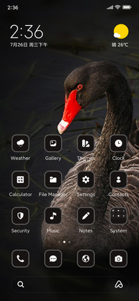 Swan