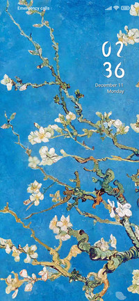 Apricot Blossom