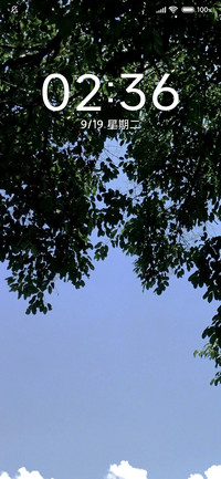叶空中 小清新