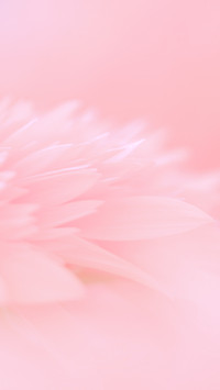 寻春