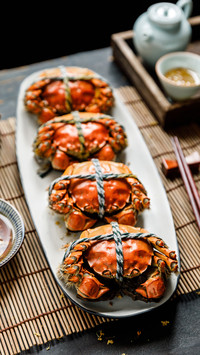 Yangcheng Lake hairy crab 97