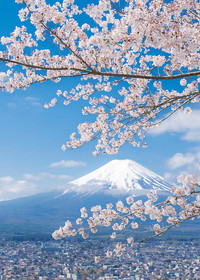 端庄圣洁之富士山