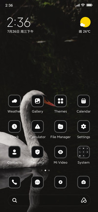 Swan Bird