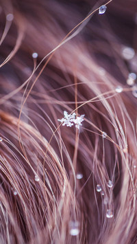 Snowflake