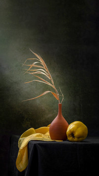 Modern still life with a dry branch in a clay vase