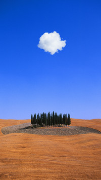 Trees landscape tuscany italy