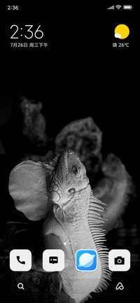 Wild Reptile