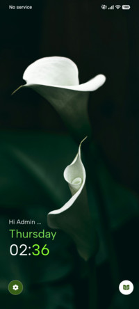Ivory Stem