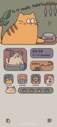 Pet Cat