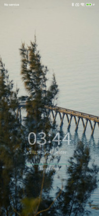 Sea bridge forest