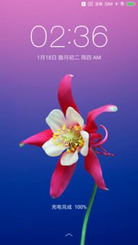 iOS 11 简约版