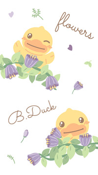 B.Duck (24)