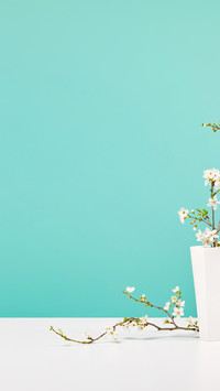 White vase, cherry blossoms, spring atmosphere